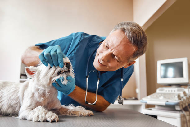 Best Urgent Dental Care in Sunnyside, WA